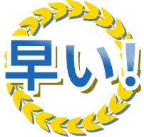 早く！